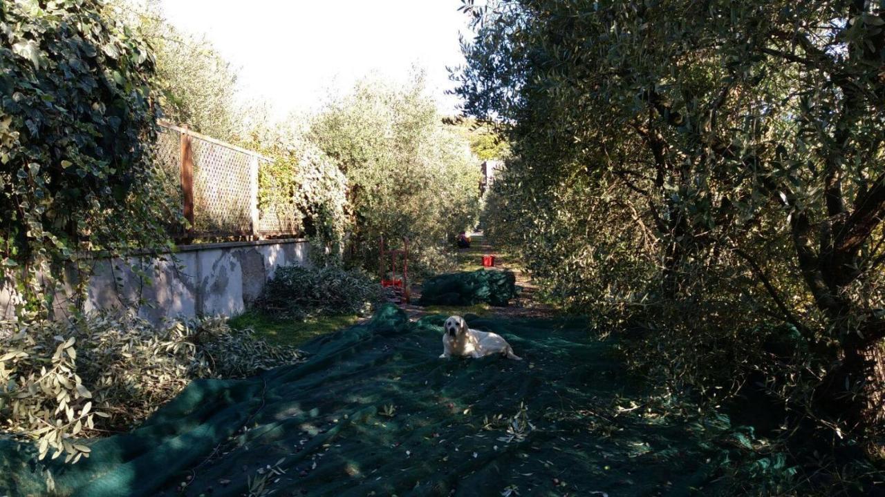 B&B La Grola ซาน มาร์ติโน บูออน อัลแบร์โก ภายนอก รูปภาพ